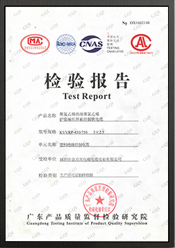檢驗(yàn)報(bào)告